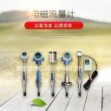 山东工业污水流量计 湖北水泥浆流量计 江西大口径电磁流量计
