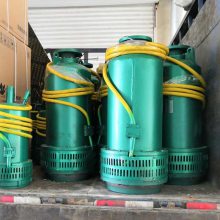 防爆矿用风动隔膜泵 FQW25-70/K风动潜水泵 叶片式潜水泵