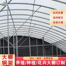 安陆市蟹爪兰双面温室钢材支持订制