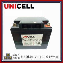 UNICELLTLA12800CPUPSԴϵͳ12V-80Ahܵ