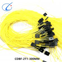 2оͷ CDBF-2T1-300MM CDBF-2T-300MM  Ӳ 괴