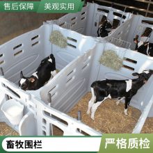 牛棚保暖牛舍牛犊栏 小牛犊棚滚塑犊牛岛 奶牛喂奶采食喂养隔离围栏