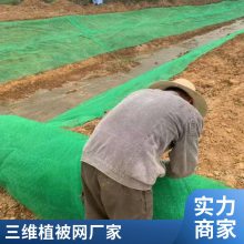 麦克加筋垫 EM3三维植被网 世杰植草固土网垫 用于促植物生长