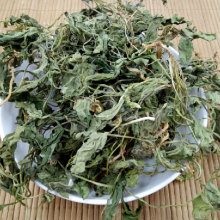 中药茉莉花根功效作用紫茉莉根 白花参 粉果根 入地老鼠 花粉头 水粉头 粉子头 胭脂花头 白粉根 价格 厂家 中国供应商
