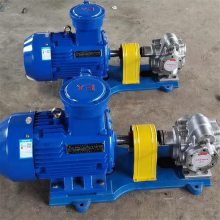 CB-B10液压齿轮泵 输送加压燃油泵 应用范围广