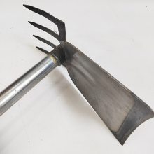 ;˫ͷݰɭ˫ͷӦԮó