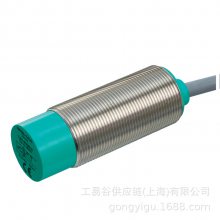 P+FʽCJ10-30GM-WS