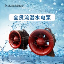 广东珠海900QGWZ-70大流量双向排水全贯流潜水电泵生产厂家