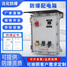 油泵使用防爆配电箱 电伴热仪表配电柜 照明动力电源插座箱