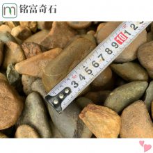 鹅卵石生态建设角色，鹅卵石装饰环境绿化，南雄杂色鹅卵石基地