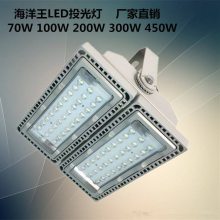 NTC9280LEDͶ220V ·100W200W