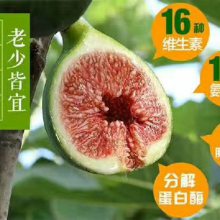 ޻硢ɫ޻硢ɫ޻