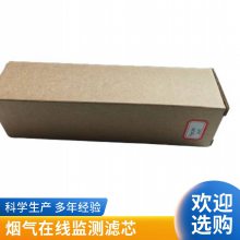 除湿过滤器滤芯 内有支撑层 加气站用 CEMS 通用过滤器