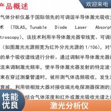 激光分析仪CO气体原位安装定制服务厂家供应WX-9000型