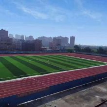 广西来宾塑胶跑道改造施工 宾阳篮球场硅PU材料供应施工