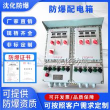 温度控制防爆配电柜 数显表温度照明动力配电箱 检修电源插座箱