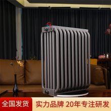 融洋 钢制弧六柱散热器YGH-VI/500型 化学水车间用立式加厚耐用