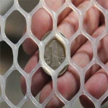 2.5公分孔塑料网 加厚塑料平网加工 鸡苗塑料养殖网