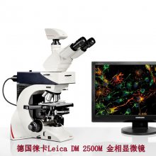 金相显微镜 德国徕卡DM2500M正置显微镜