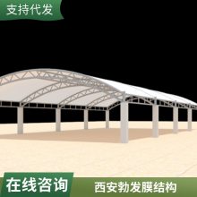 定制景观连廊走廊张拉膜结构PVC遮阳膜结构小品PVDF膜结构棚