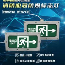 集中控制型消防應(yīng)急標(biāo)志燈具(A型)(防爆標(biāo)志燈IIC, tD)