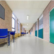 江苏徐州阿姆斯壮翠丽龙PVC塑胶地板 学校幼儿园pvc地胶