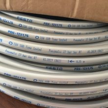 FESTO***Ӧ 152702 PAN-12X1,75-SI