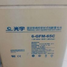 Ӧ6-GFM-65 12V6***H ֱ/UPS/EPS