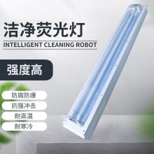 LED防爆洁净荧光灯钢化玻璃无尘净化灯车间实验室双管LED吸顶灯