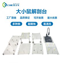 大小鼠解剖板大小鼠不锈钢手术台小动物解剖手术台尺寸可定制
