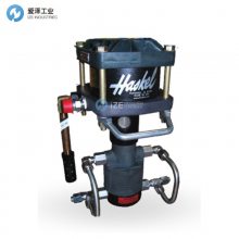 HASKEL59020