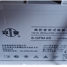 ˫ǦƷƷܱʽ 6-GFM-65 (C20)