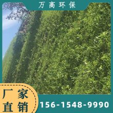 河道治理矿山复绿用 三维植草毯 EM2 EM3 pe生态土工网垫