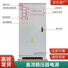 ̩ѹԴTND1(SVC)-3KVA/3KW߾ȫԶ豸ѹ