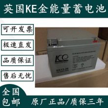 KE金能量蓄电池SS12-150阀控调节12V150AH标准结构