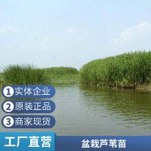 «έ糧 ذ ֱֻ ʪ̻ ֶ֧