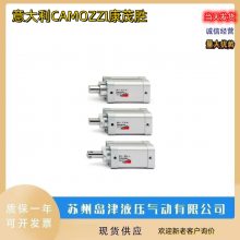 CAMOZZIïʤѹ42M2N063A0010 42M2N063A0015