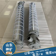 隔爆型双管防爆灯 工作稳定寿命长 功率小发热量低