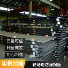  NP550 ְ 4 - 12 װ CAD иذгȫ