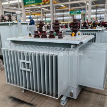 6.3kV/10kVͽʽѹ S13-500kVA/6.3kVͽʽѹ