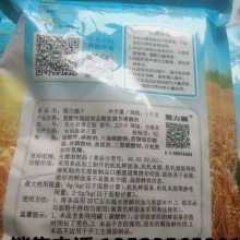 天喜筋力源F 筋力源F厂家 复配生湿面制品添加剂 筋力源F功效 食品级