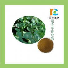 透骨草提取物 10:1 透骨草粉 1公斤包邮