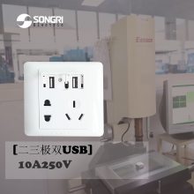 双USB五孔插座 方舱医院紧急备用电源插座 上海松日SONGRI网络信息插座 公寓会所手机充电器