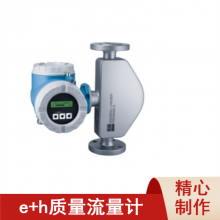 E+H83E80 ṹչҵԶǱE+H  80F08