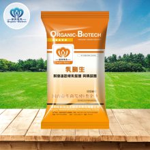 供应丁酸梭菌50亿100亿水溶不溶厂家直接供应菌种活性高