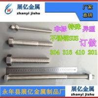 304�������˨ ���̼� 304�������˨�����ӹ����Ҷ�����