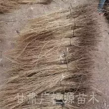 ½ 5000һ Բ 