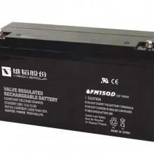 Vision6FM33E-X 12V33AHάASBȼ