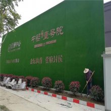 泰州围挡挂草皮 草坪塑钢护栏价格 市政道路围挡草坪