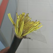ִװƵZR-KVV22-10*1.5